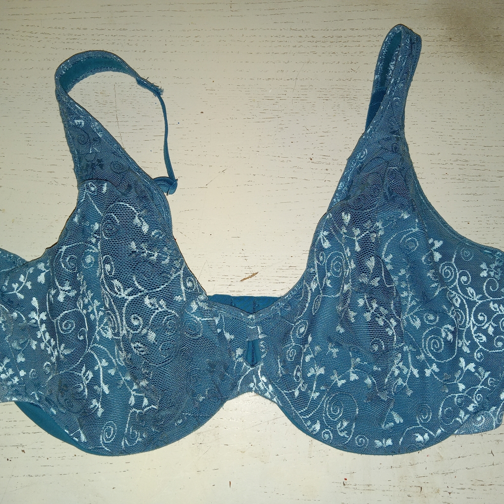 Lilyette Blue Floral Women's Bra Sz 36DD